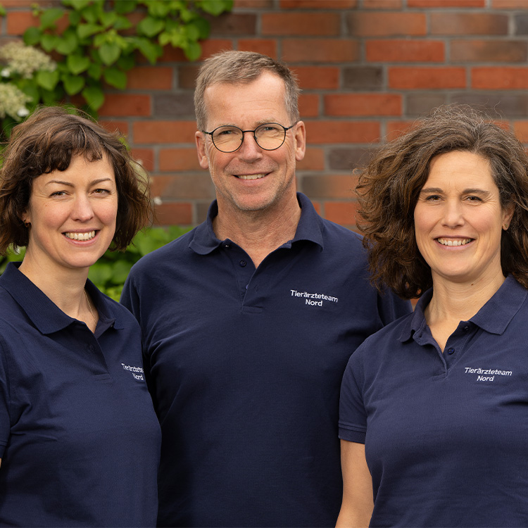 Friederike Karsten Katharina web